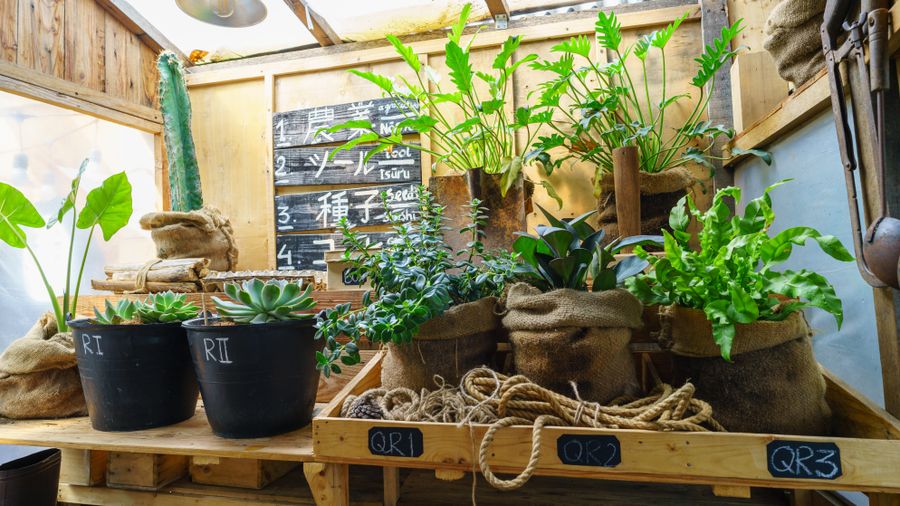 Staying Warm and Well Indoors Through a Long Winter