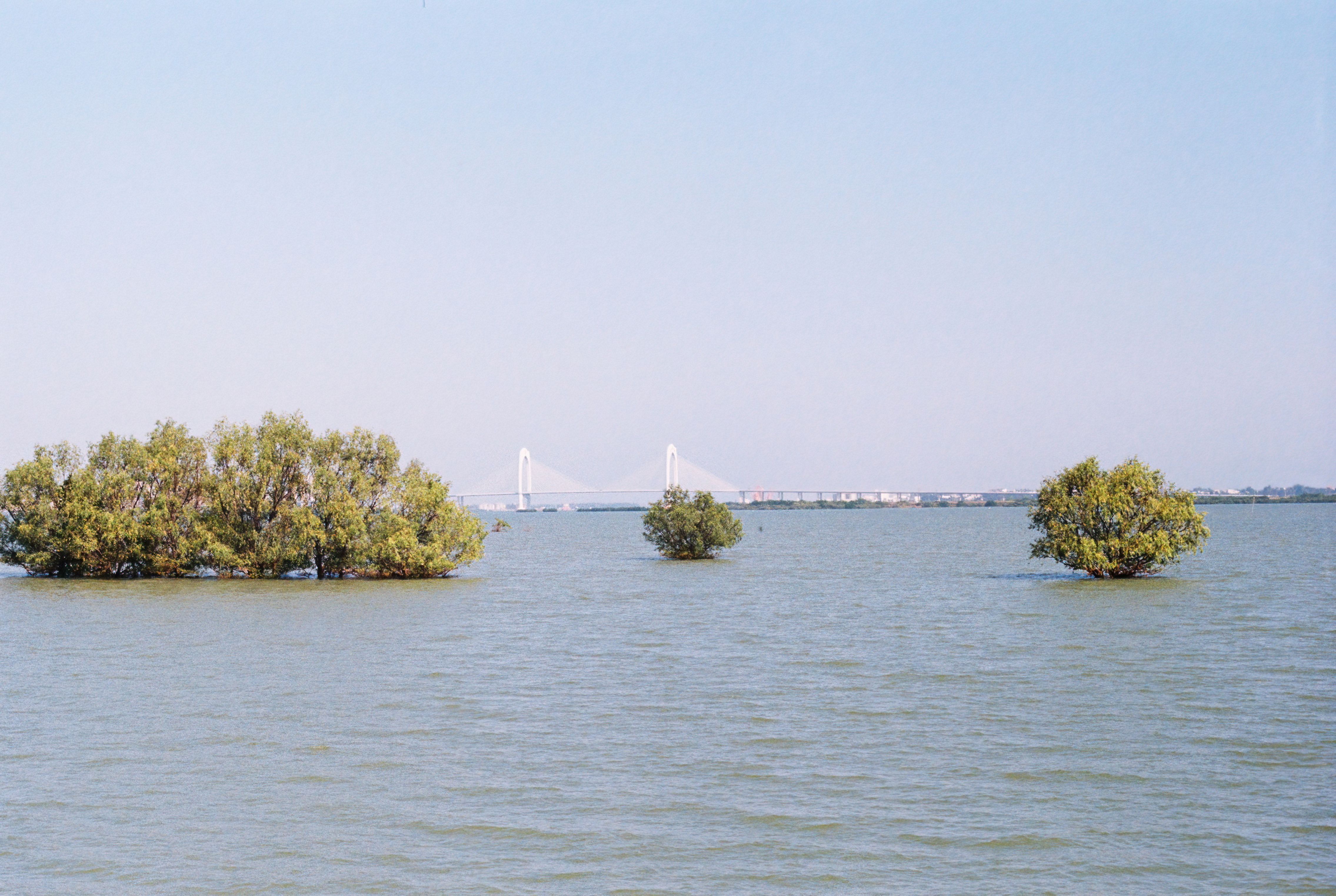 Mangrove boardwalk at Bang Pu with sea eagles overhead