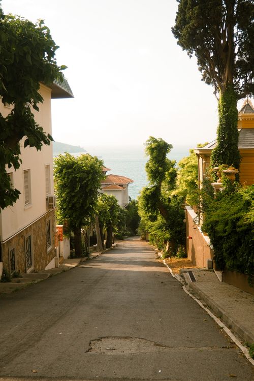 Free Quiet street view leading to the sea on a sunny day. Vibrant greenery and buildings. Stock Photo
