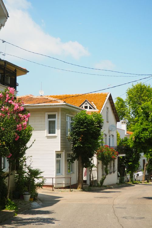 Free Beautiful sunny street scene featuring classic white houses and lush greenery. Stock Photo