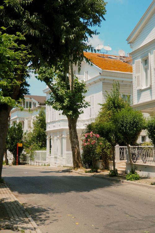 Free A picturesque street scene with historic white houses and lush greenery on a sunny day. Stock Photo