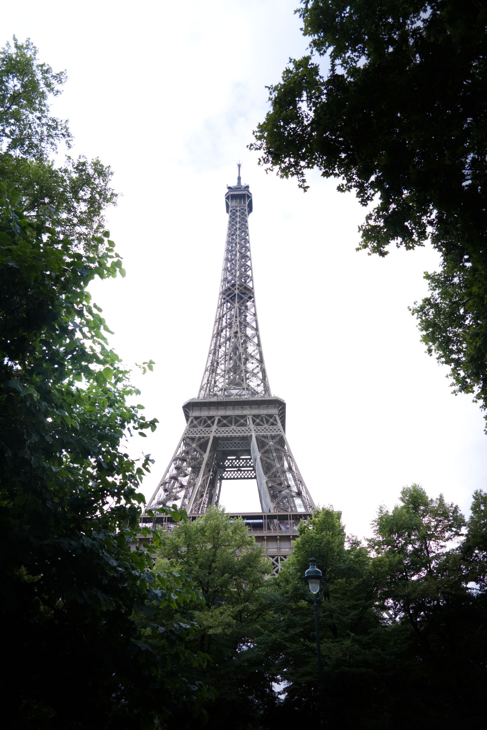 Tour Eiffel encadrée d'arbres verts à Paris