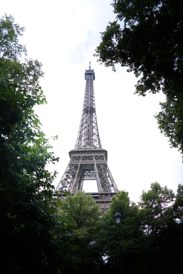 Tour Eiffel encadrée d'arbres verts à Paris