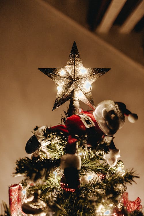Gratis Disparo De ángulo Bajo De La Estrella Iluminada En La Parte Superior De Un árbol De Navidad Foto de stock