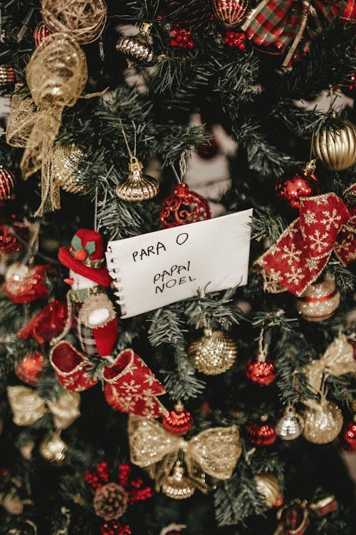 聖誕樹上的裝飾和書面文字說明para O Papal Noel