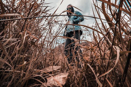 一名男子身着休闲装，站在高高的草丛中，这是从低角度拍摄的画面