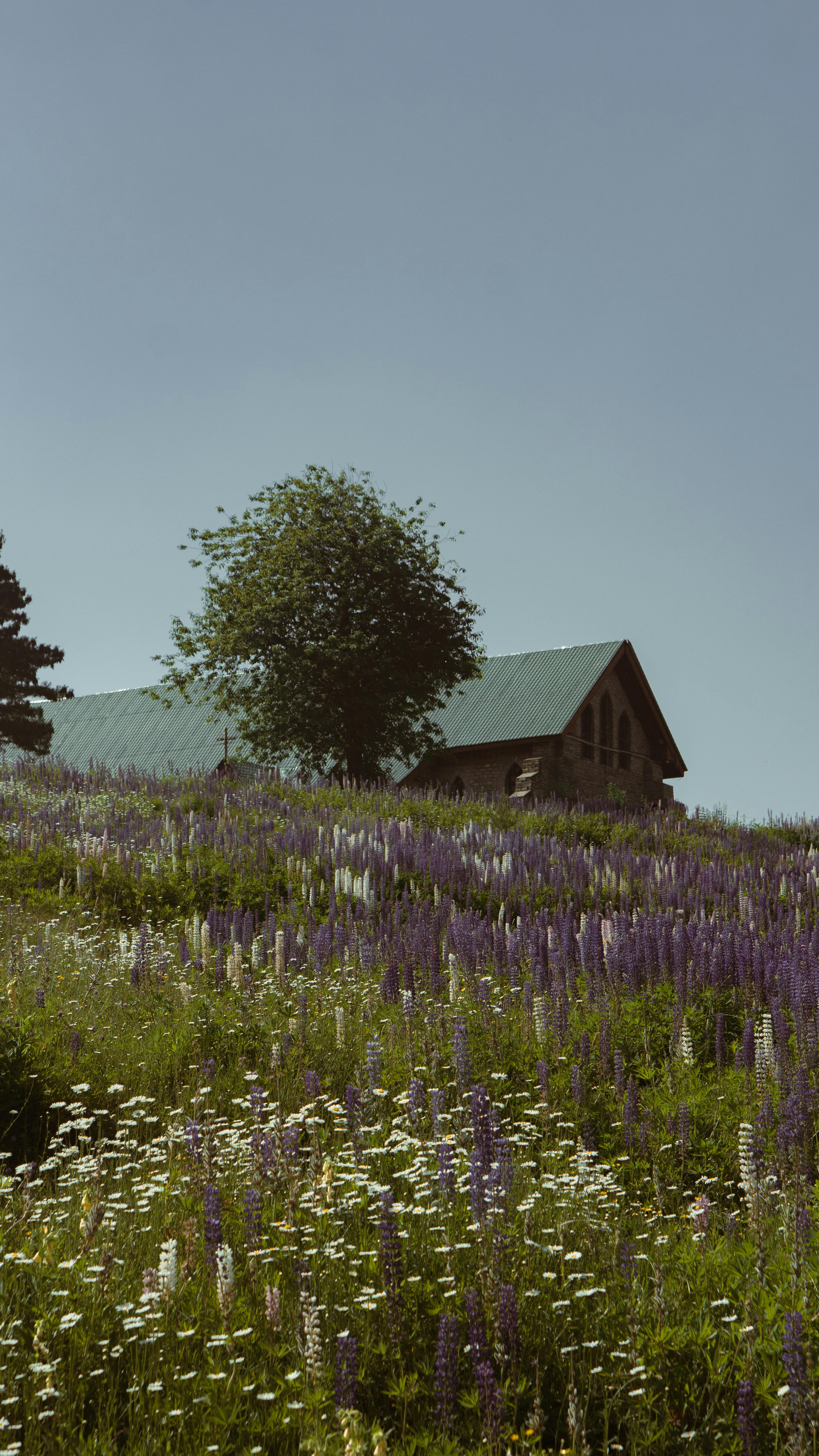 Discover the Best Seasonal Activities Near Magnolia House B&B Texas in 2024