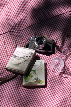 A vintage camera and classic books set on a checkered picnic blanket with a glass in sunlight.