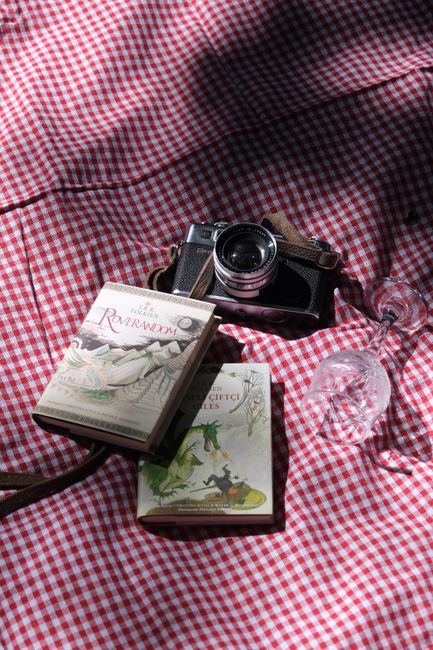 A vintage camera and classic books set on a checkered picnic blanket with a glass in sunlight.