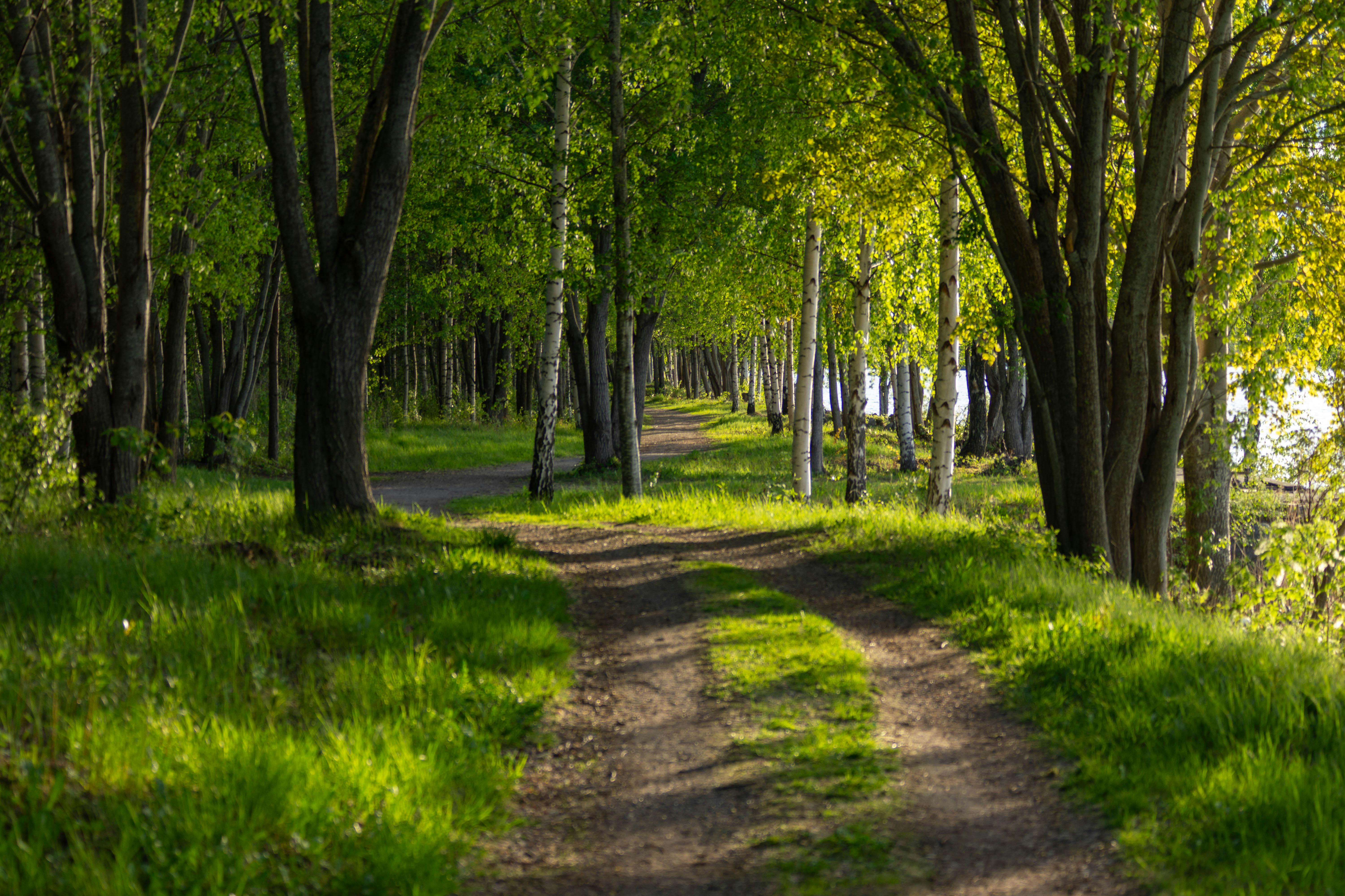 Healthspan White Paper: The Data-Driven Path to Longevity — Photo by Hala Obed on Pexels