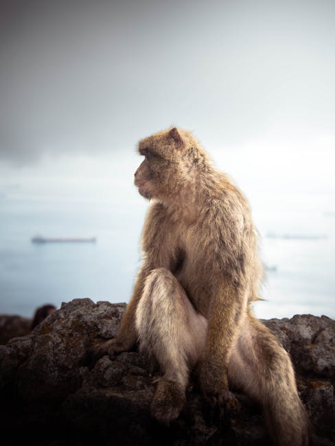 Conclusion: A Continuing Evolution Conclusion: A Continuing Evolution