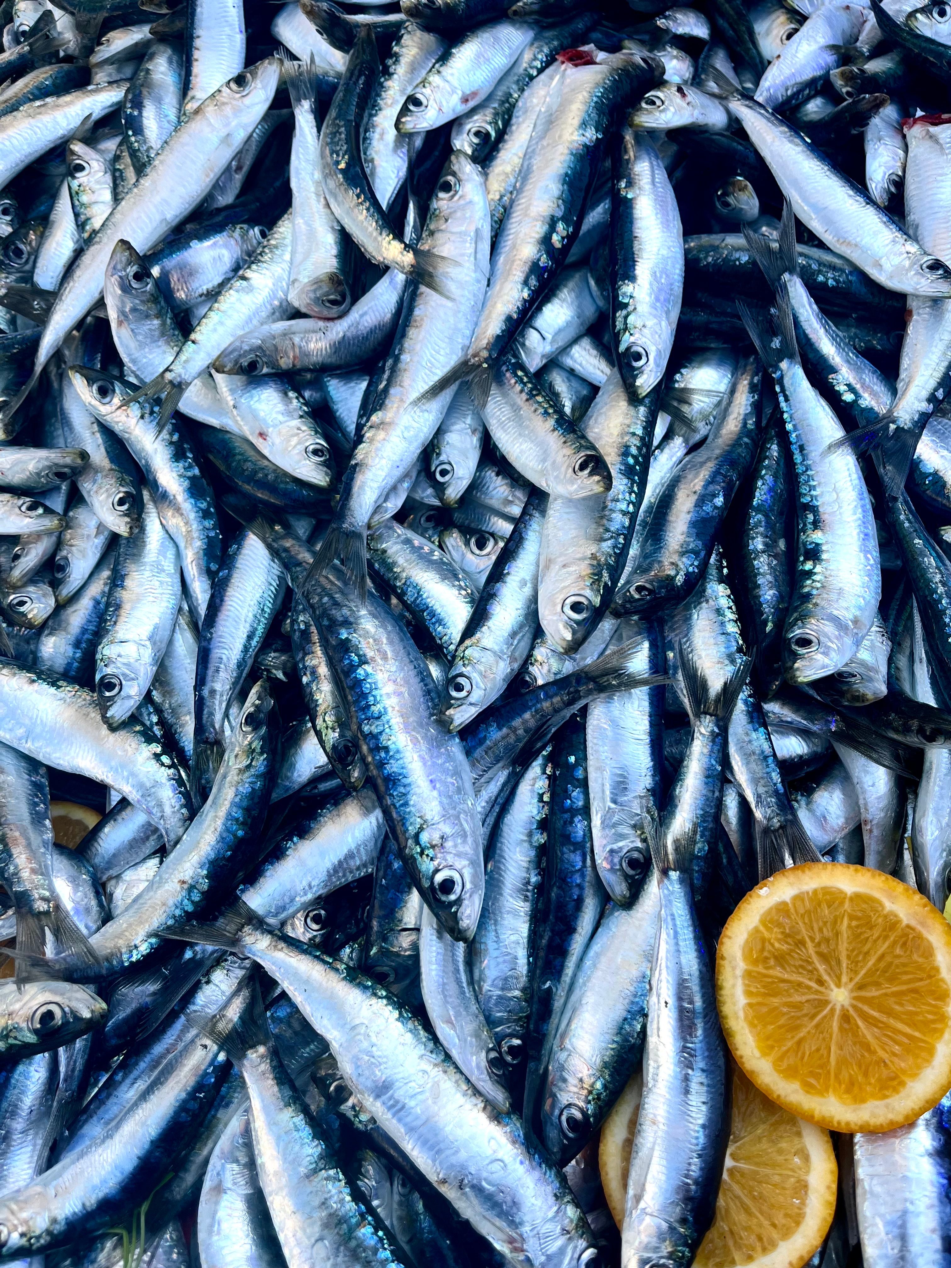 The Sustainable Side: Respecting the Ocean