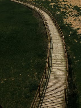 Comprar Arcoxia Online | Ofertas Etoricoxib Alivio Dolor