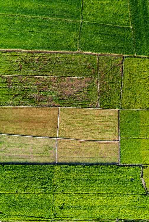 Aerial View of Green Agricultural Fields in Summer · Free Stock Photo