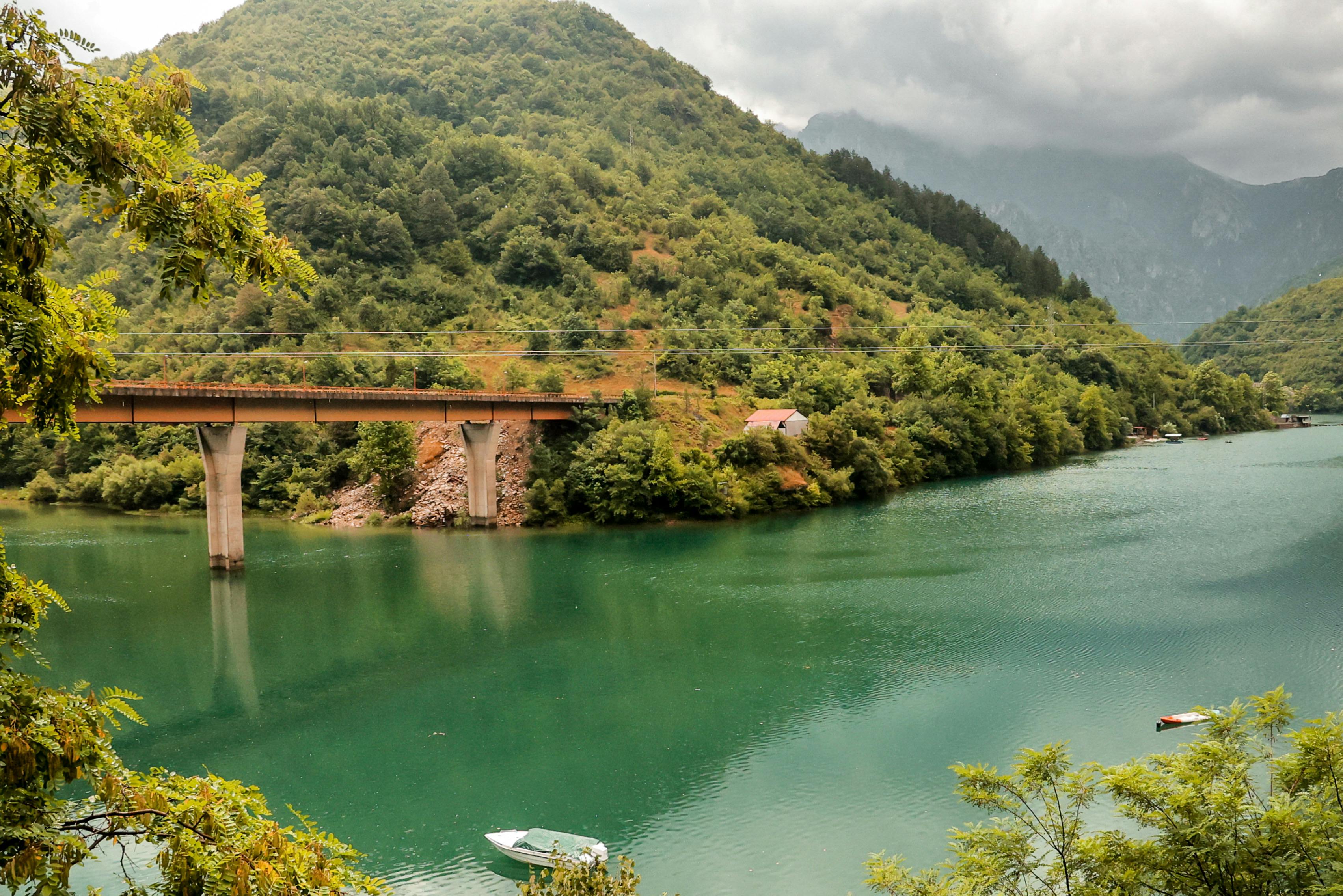 Defining Ethical Wildlife Tourism: A Personal Perspective