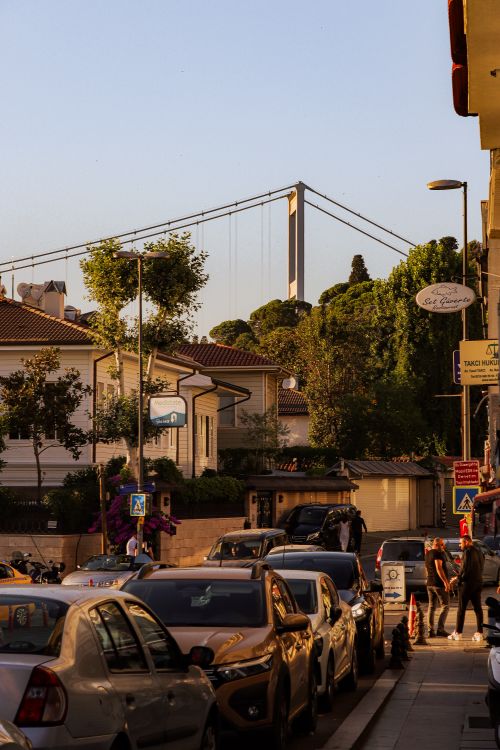 Free Urban street scene with cars, pedestrians, trees, and a distant bridge in warm sunset light. Stock Photo