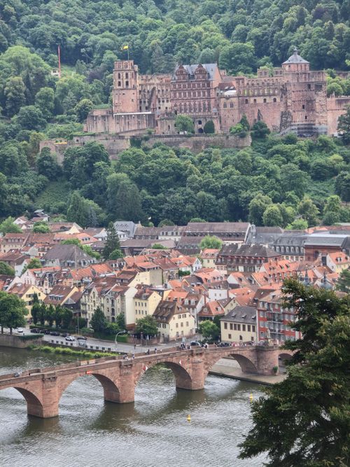 Free A picturesque view of Heidelberg Castle above the historic old town and river in Germany. Stock Photo