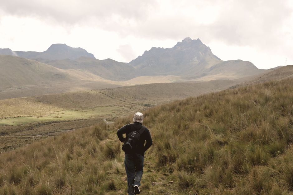 Best Day Tour to Floreana Island with Snorkeling and Fishing Review 2026 - A lone hiker traverses the grassy slopes of the Andes in Ecuador under a cloudy sky.