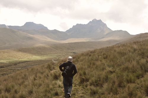 Free A lone hiker traverses the grassy slopes of the Andes in Ecuador under a cloudy sky. Stock Photo