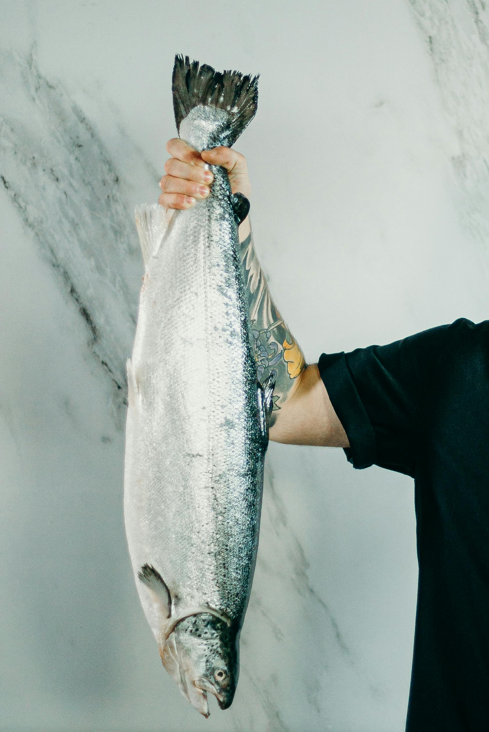 person holding raw fish