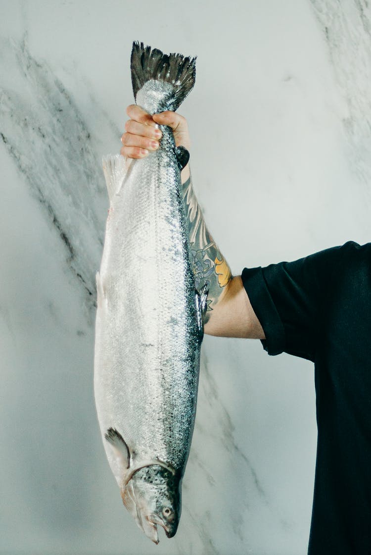 Person Holding Raw Fish