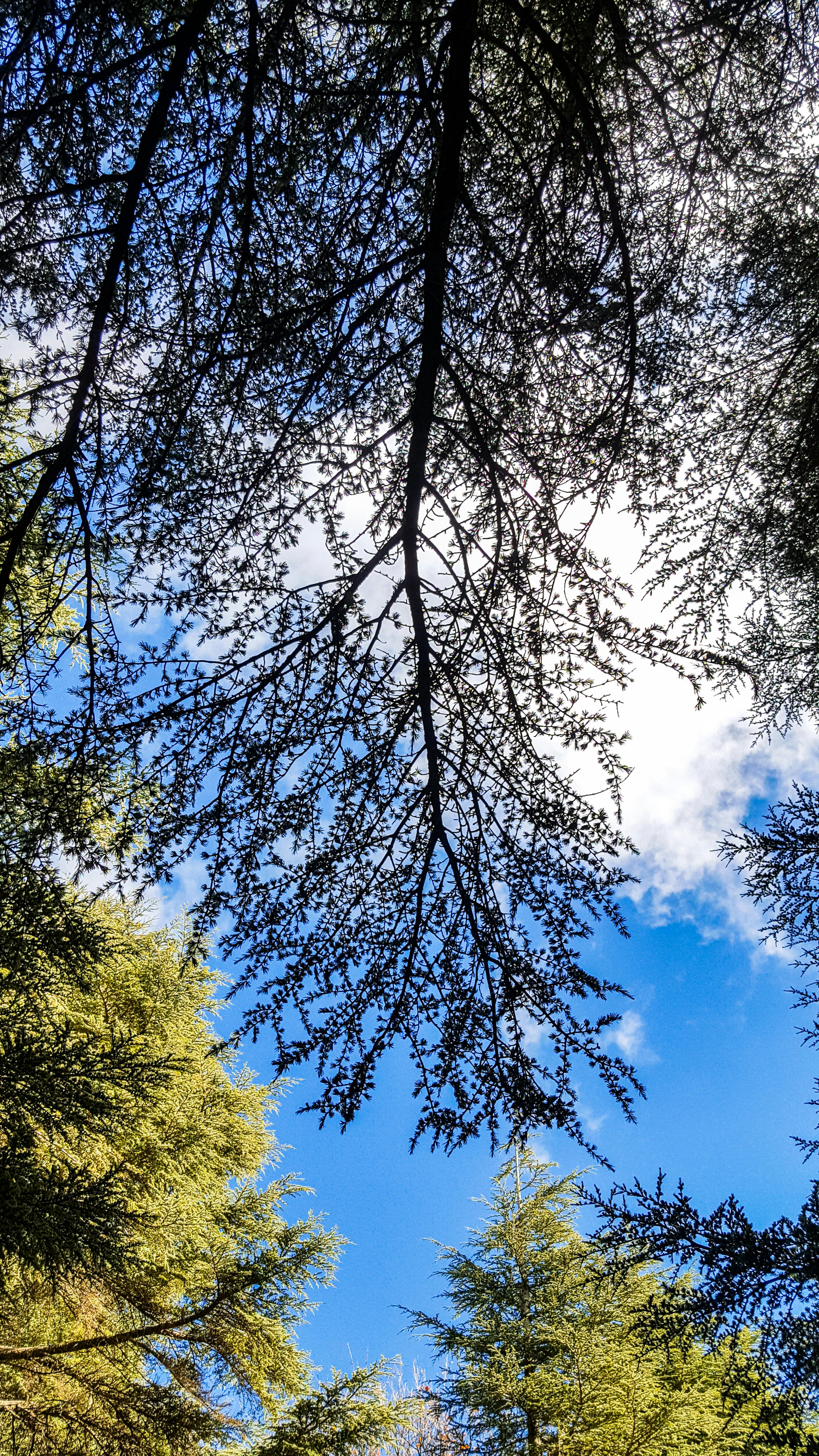 Simole Sky Blue Photos, Download The BEST Free Simole Sky Blue Stock ...