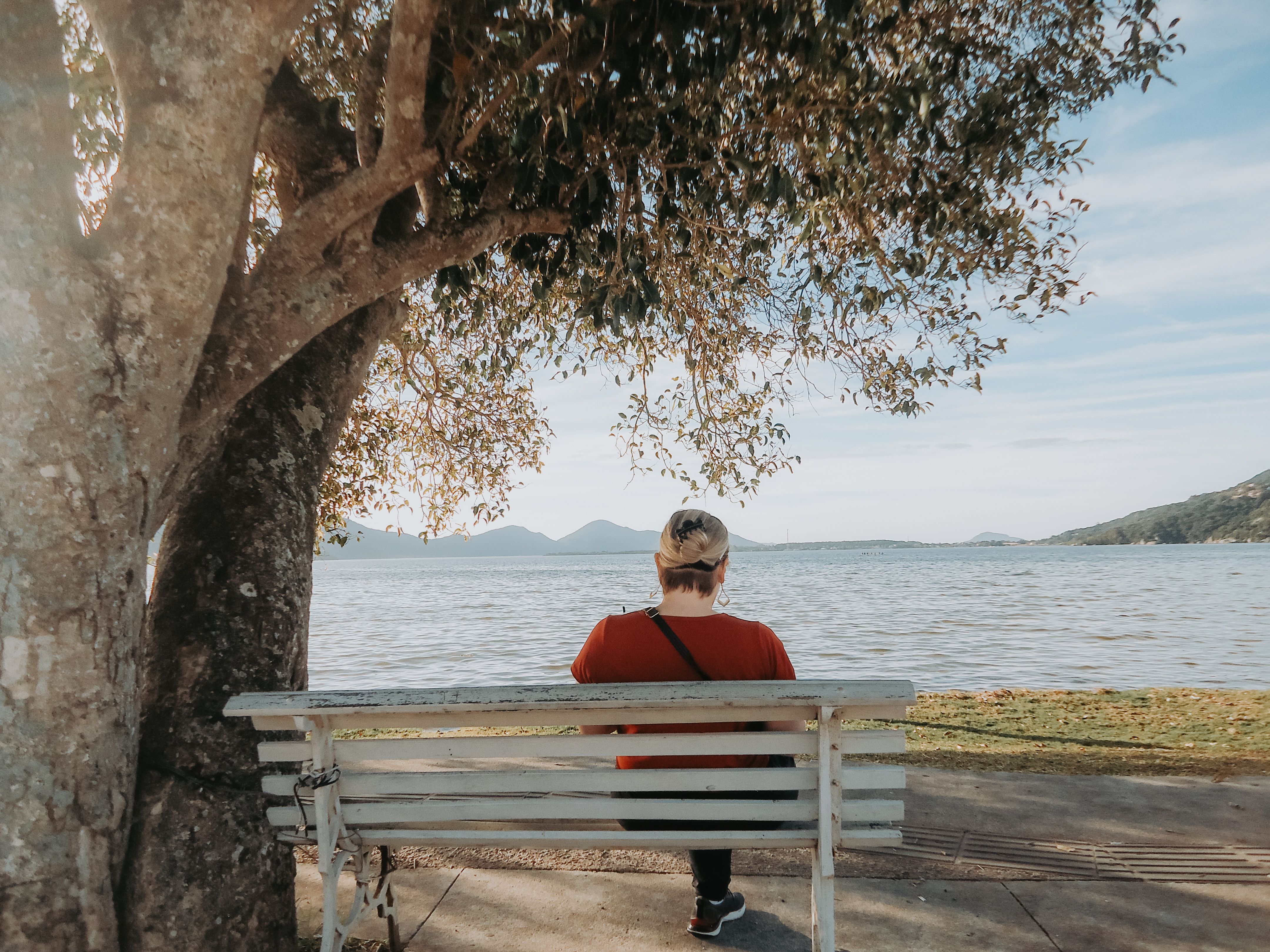 Person relaxes on a bench by a lake under a tree, enjoying a peaceful day.