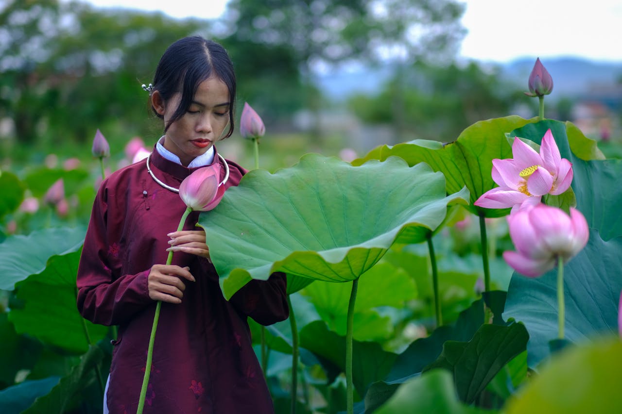 Mùa xuân đi xe thổ mộ