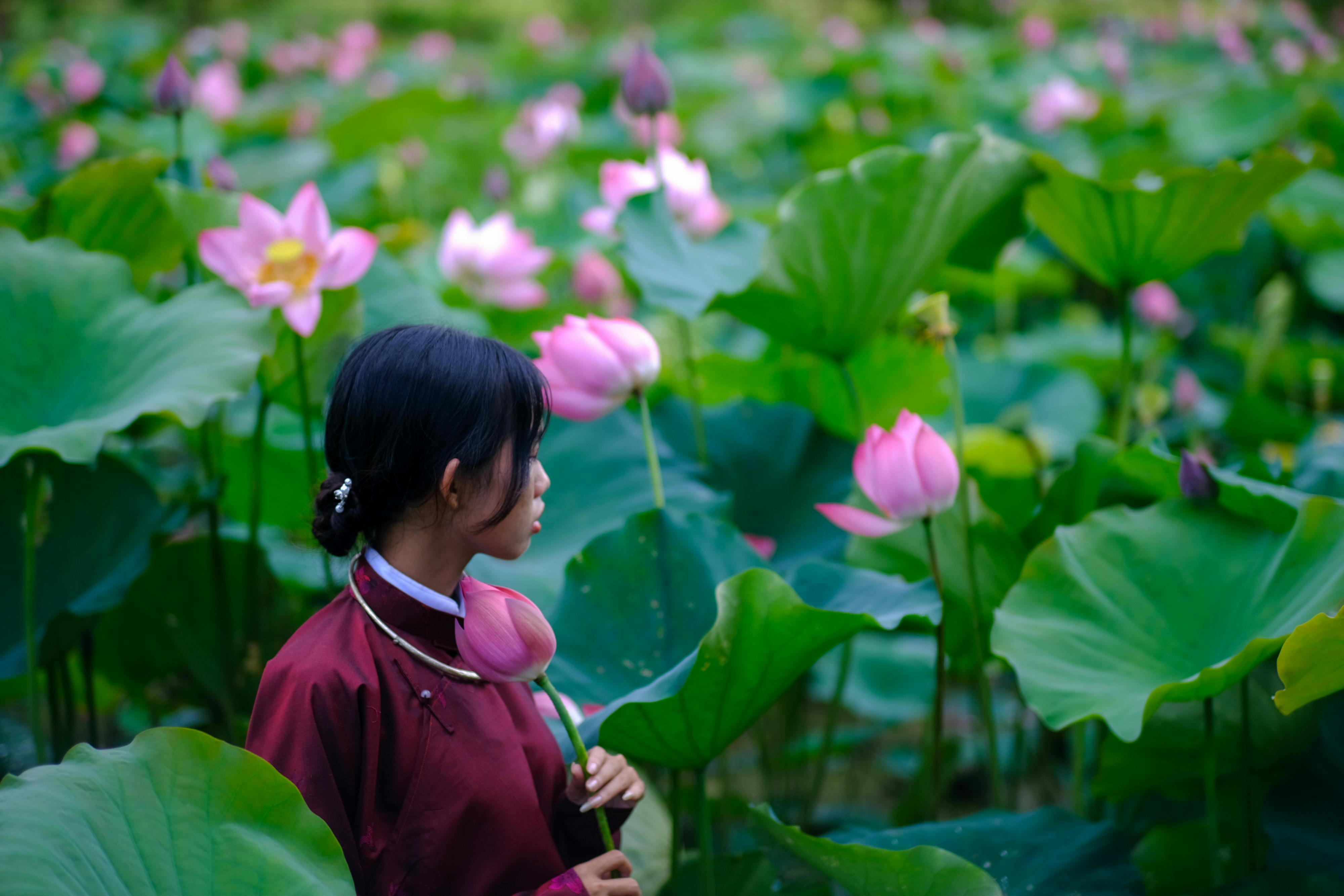 Gieo trồng hạnh phúc | Lời nói đầu