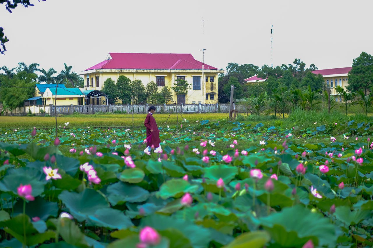 Chim lửa | Chương 30