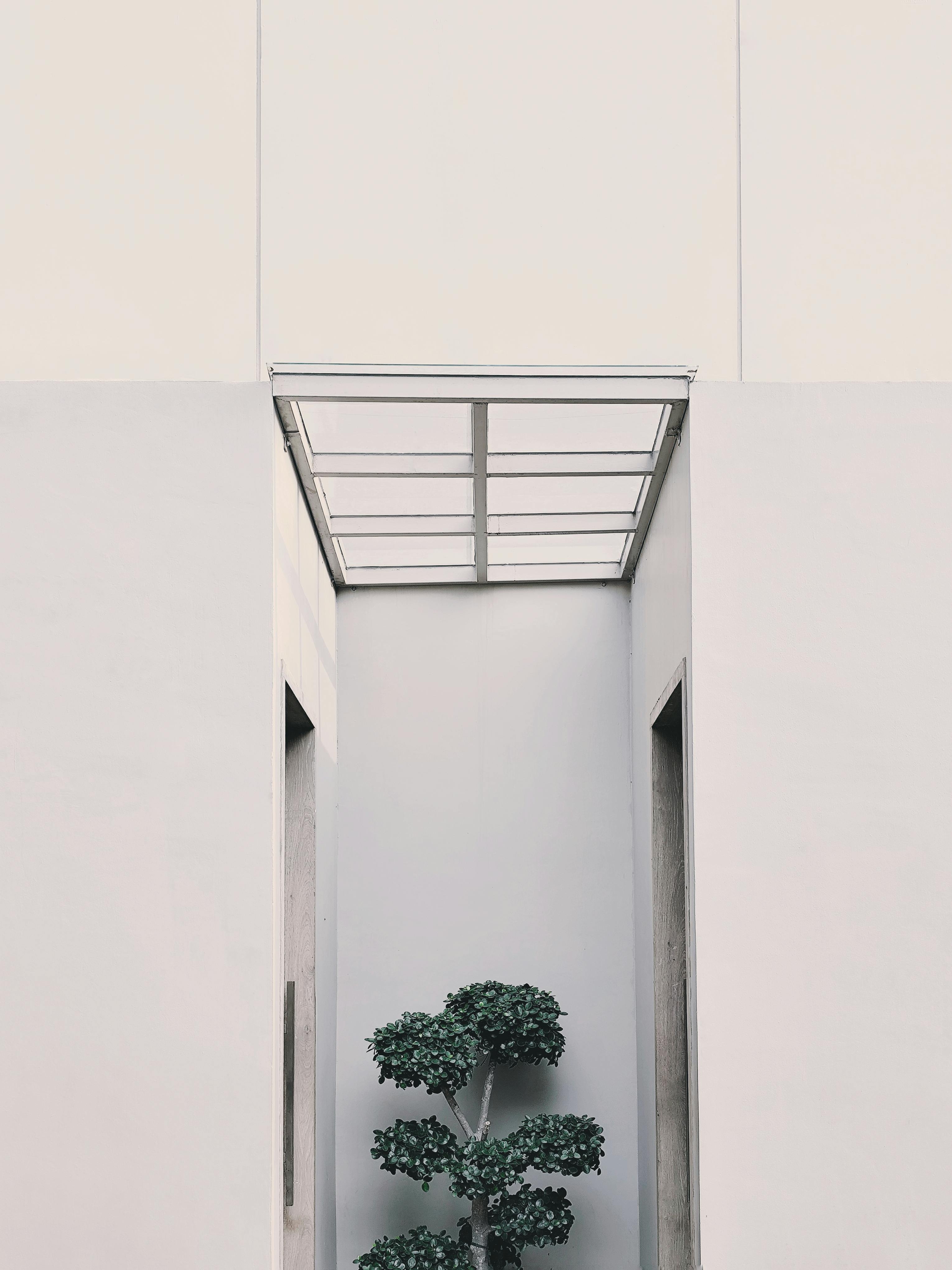 Gratis Ruang arsitektur minimalis dengan cahaya alami di atas pohon bonsai di Banten, Indonesia. Foto Stok