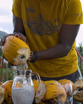 Free stock photo of action, coconut water, coconuts