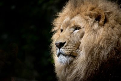 Terra Natura - Zoo i park przygód