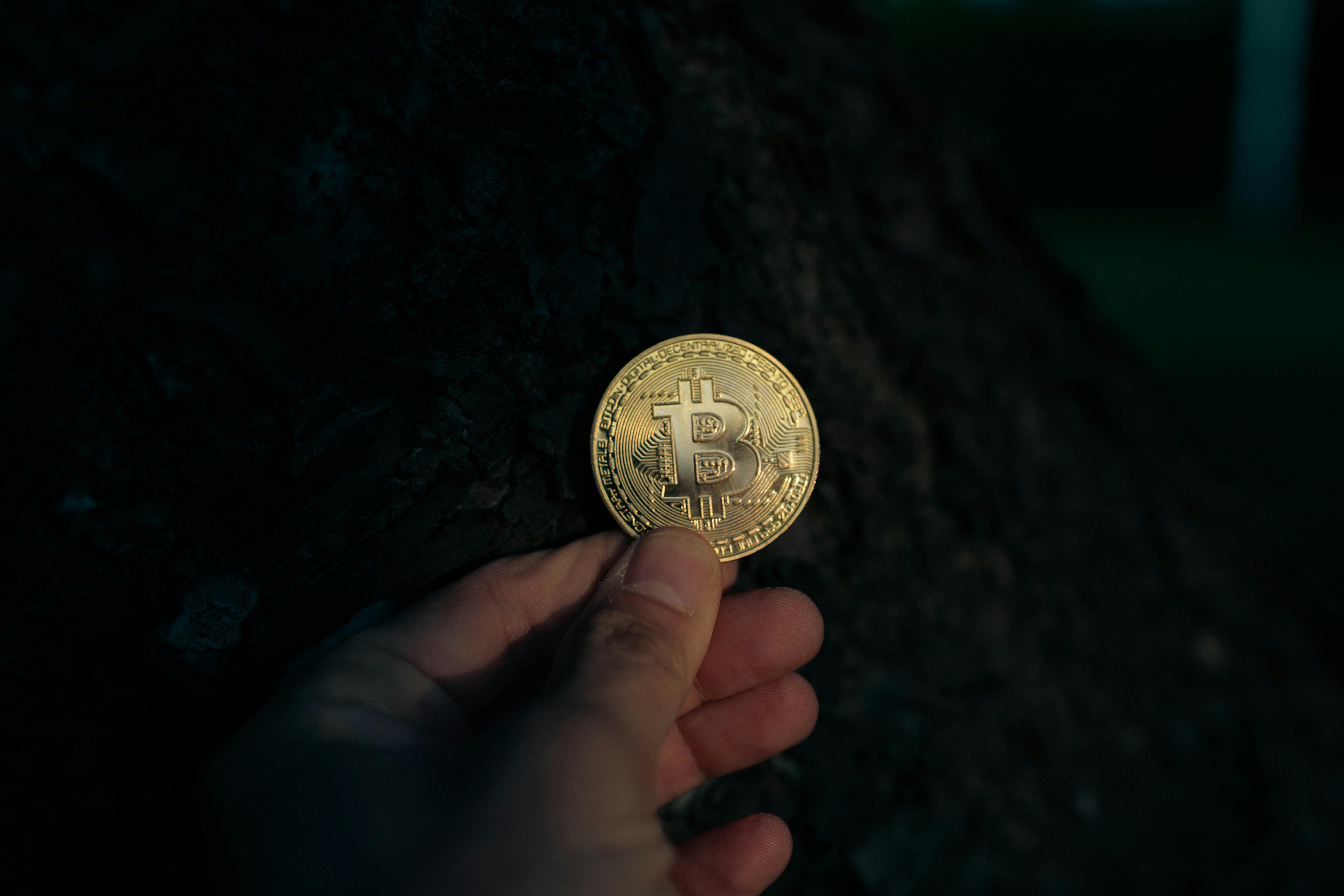 Hand Holding Bitcoin Coin Against Dark Background · Free Stock Photo