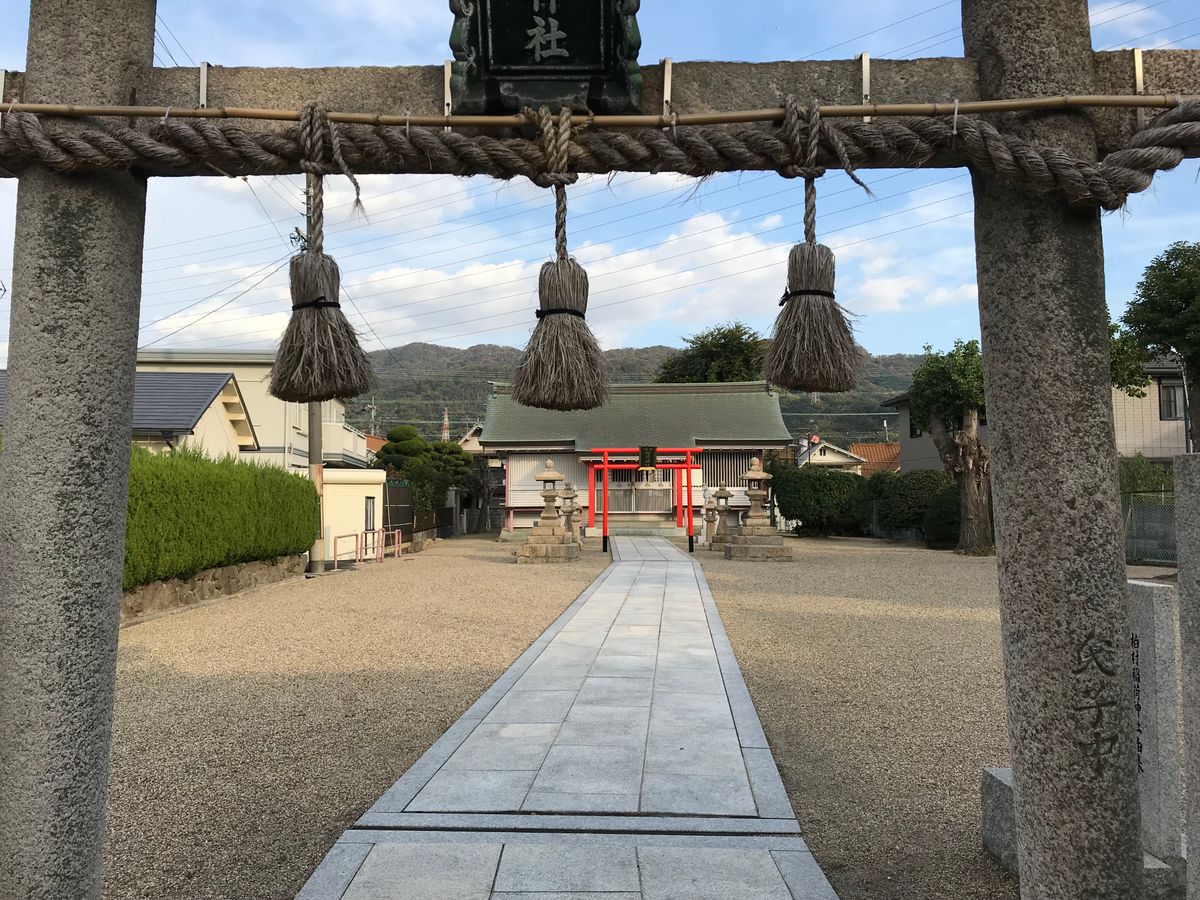 神社の鳥居と参道