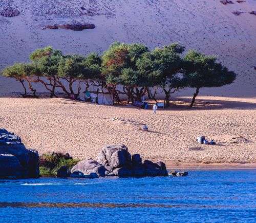 Free stock photo of arab, arabian camel, aswan Stock Photo