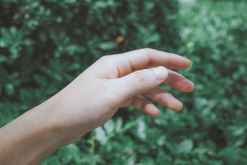 Free A delicate hand extends gracefully toward vibrant green leaves, evoking serenity. Stock Photo