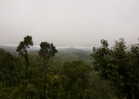 Coorg Honeymoon