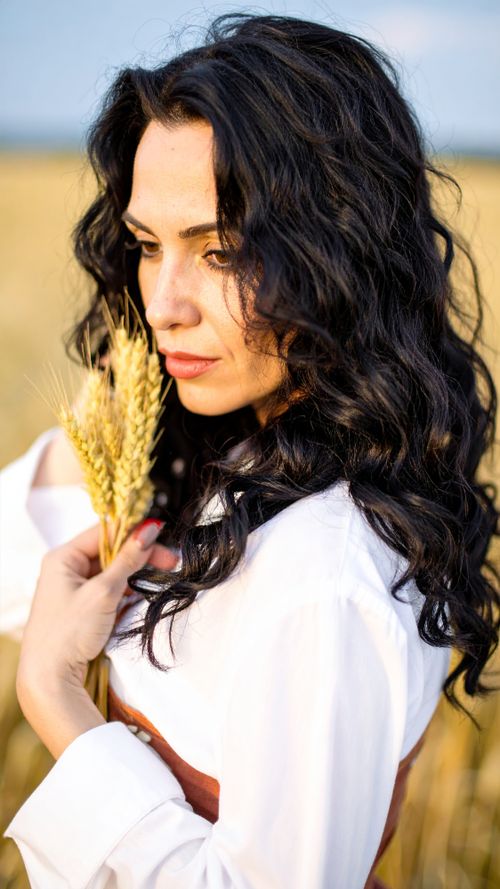 Free Portrait of a brunette woman in a white shirt holding wheat stalks in a sunlit field. Stock Photo