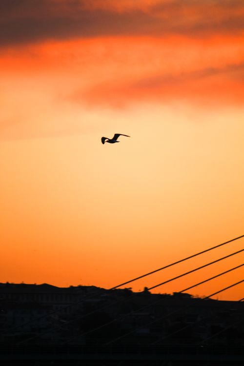 Free stock photo of seaside sunset, sunsetlovers Stock Photo