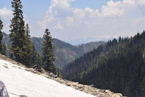 Free Beautiful mountain view showing snow and pine forest under a cloudy sky. Stock Photo