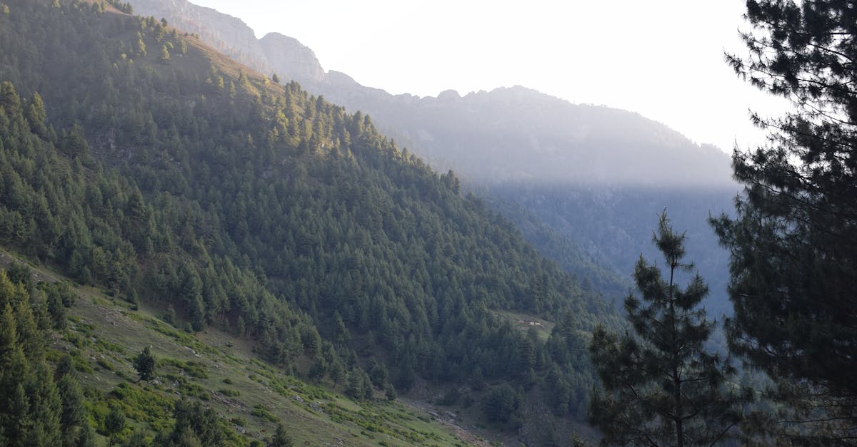 The Ember of Aelthar 1 image text