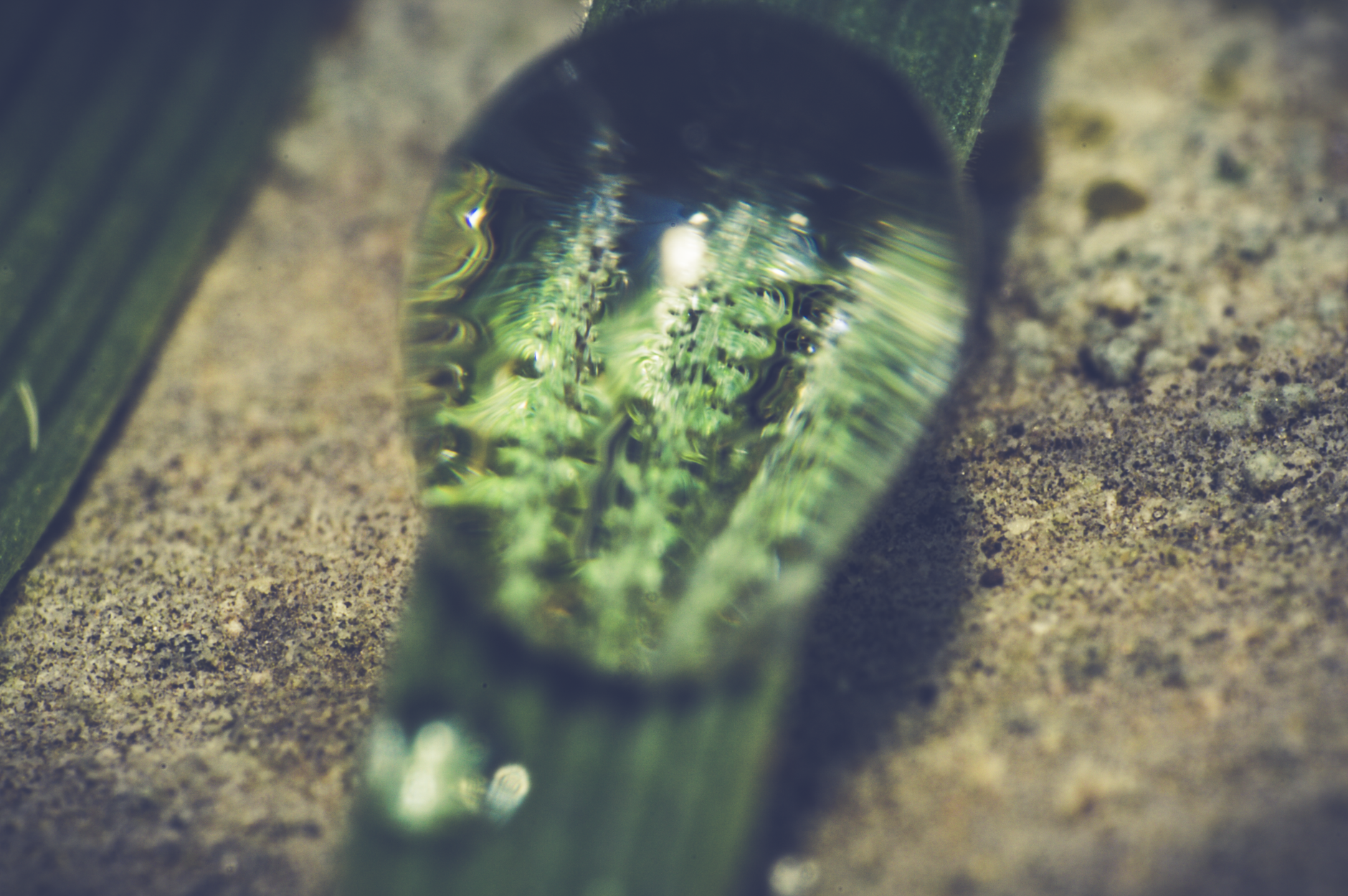 Close-up macro photograph showing a water droplet on a green leaf, enhancing its texture.. pexels, close, macro