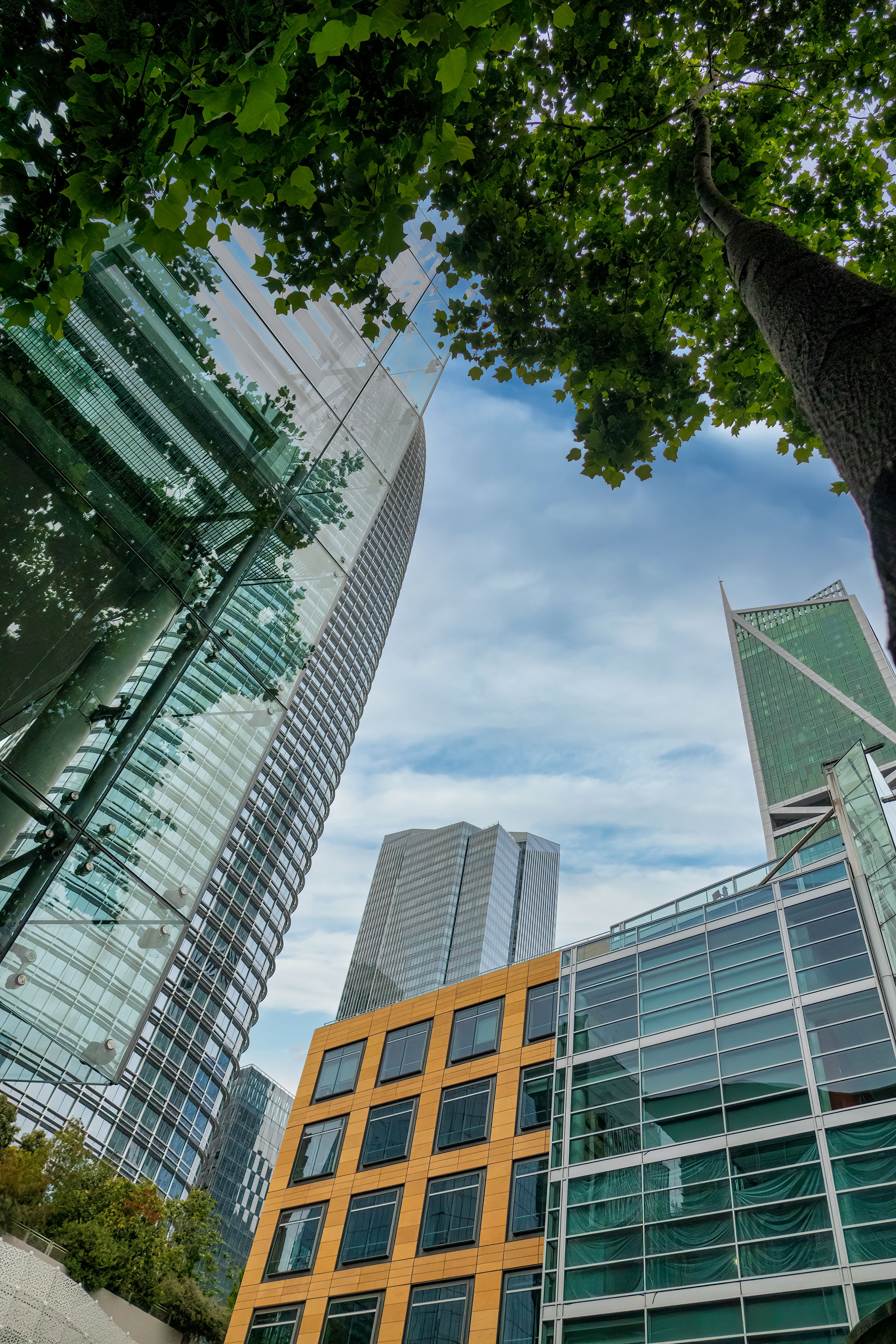 High-rise Buildings · Free Stock Photo