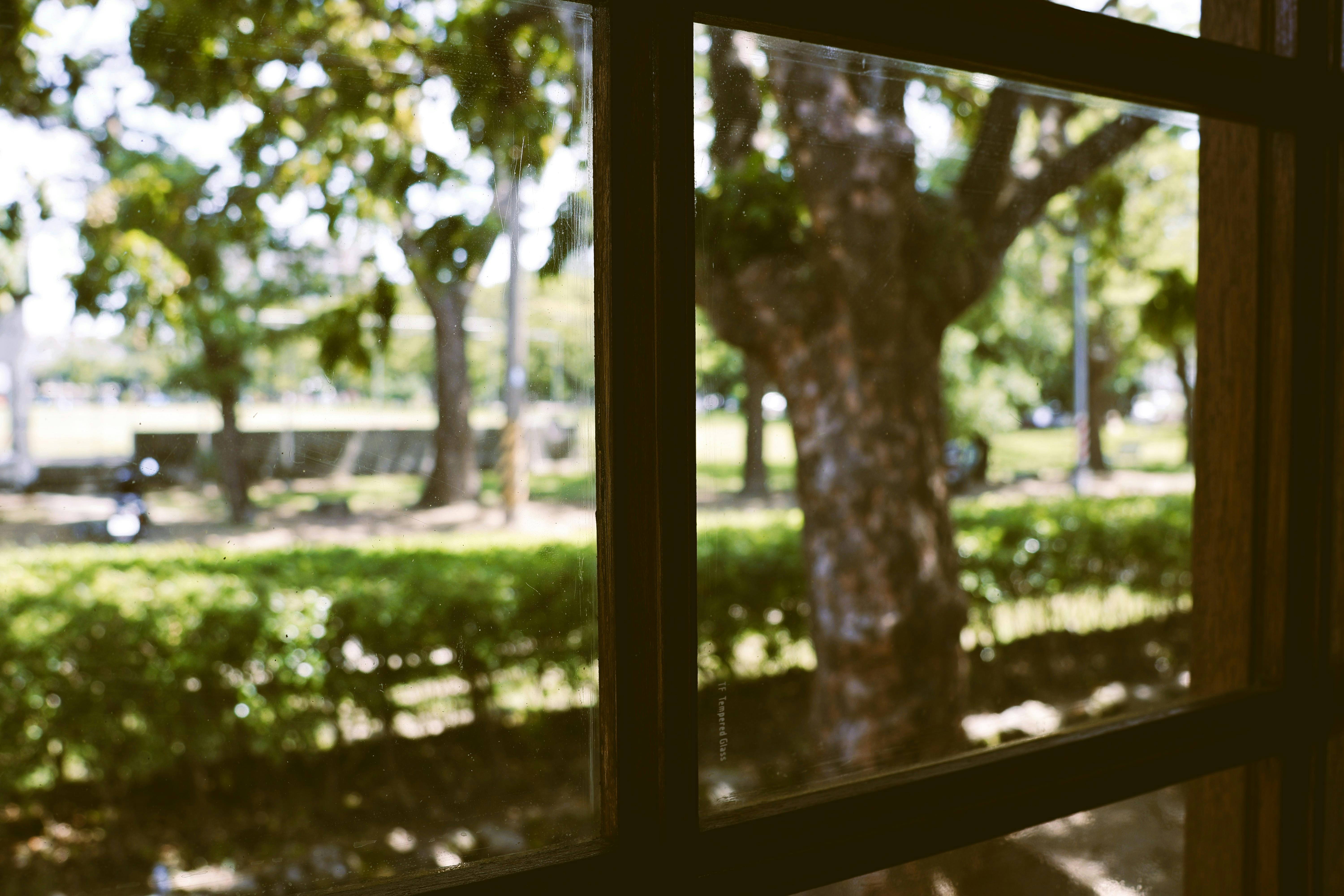 💰 台灣彩券2月盈餘破47億！你知道嗎？