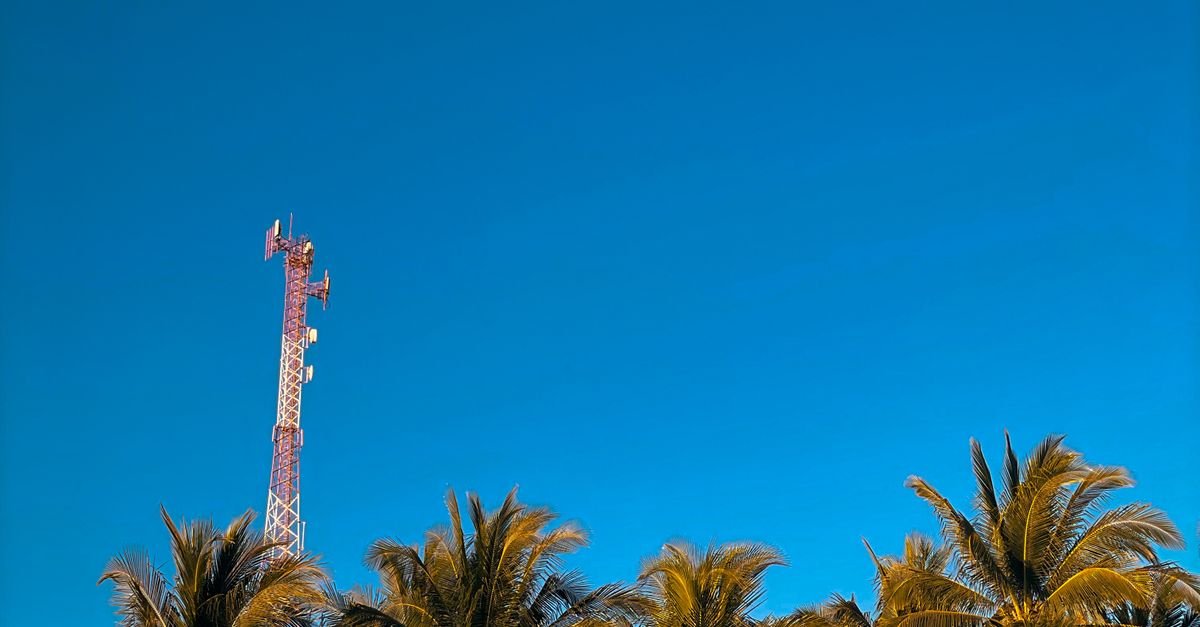 Photo by Cr Santamaria Tropical scenery with palm trees and a communication tower under blue sky.