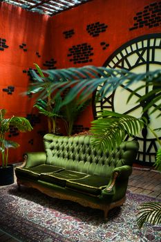 Cozy green sofa with plants against a clock-themed wall, ideal for creative indoor space.