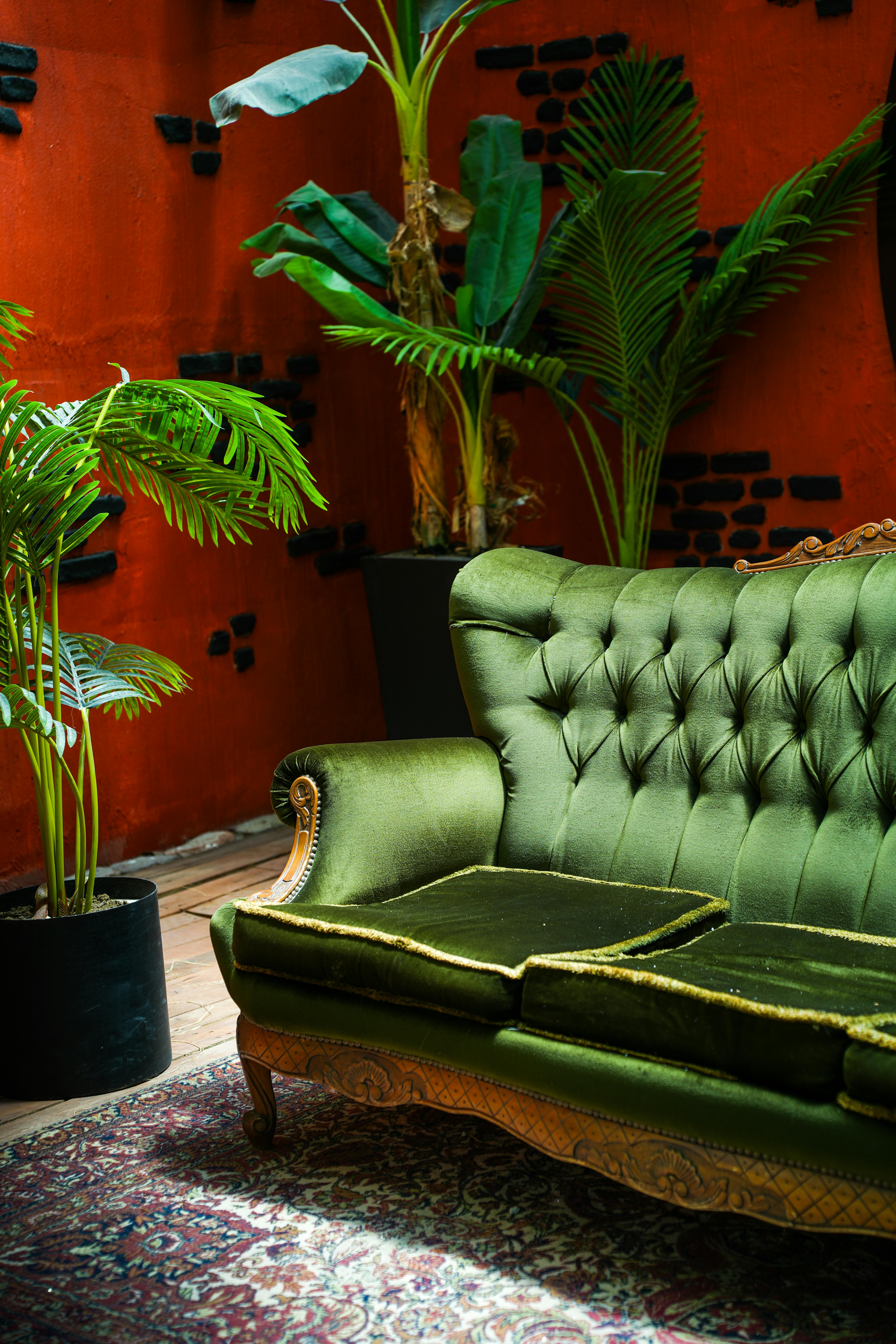 Elegant vintage green sofa against a vibrant red wall with tropical plants indoors.