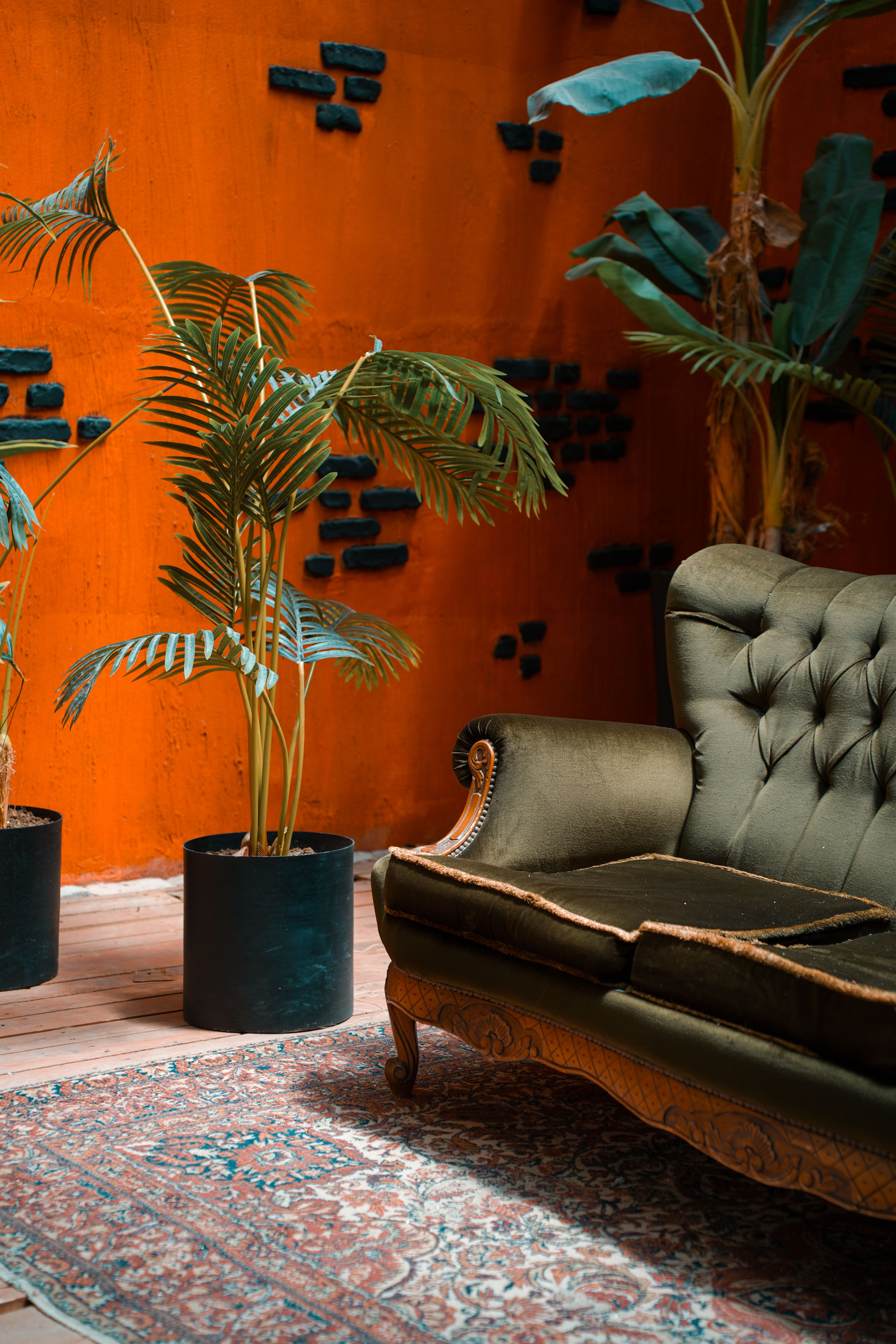 Vintage Living Room Decor with Green Sofa and Plants · Free Stock Photo
