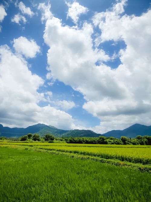 Free A vibrant green field beneath a clear blue sky with fluffy clouds and distant mountains. Stock Photo